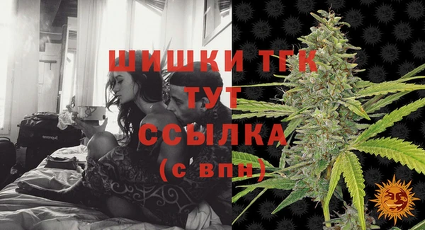 гашик Каменногорск