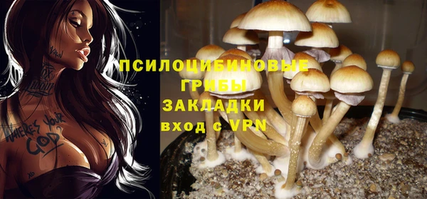 стафф Каменск-Шахтинский