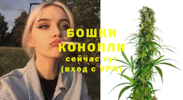 MESCALINE Каменка