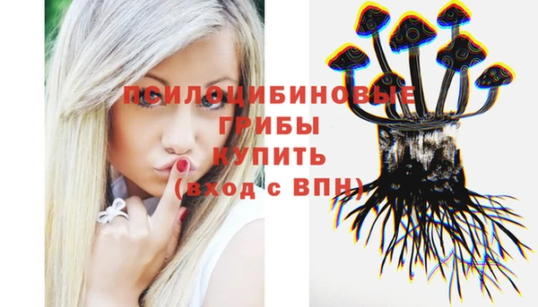 а пвп мука Куйбышев