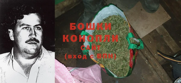 гашик Каменногорск