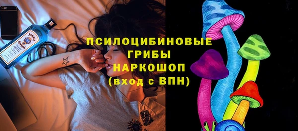 стафф Каменск-Шахтинский
