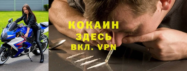 стафф Каменск-Шахтинский